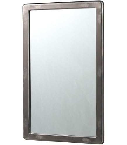 Amazon.co.jp: ダルトン(Dulton) 棚付き鏡 ステンレス スチール